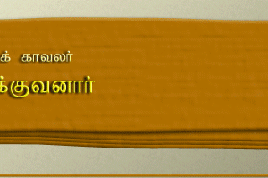 image-1013