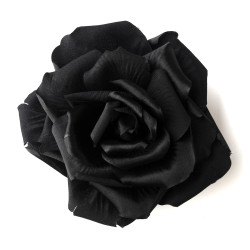 black rose01