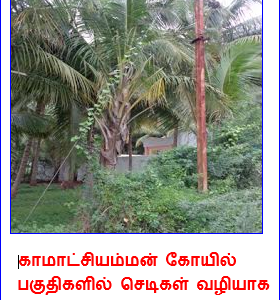 image-7630