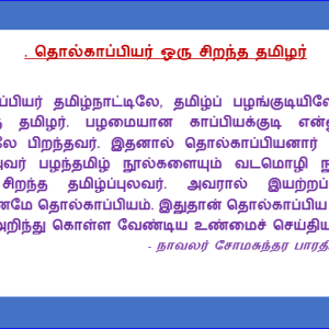 image-7970