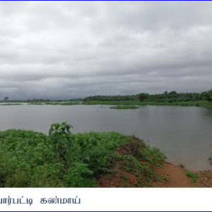 தேனிப் பகுதியில் மீன்வளர்ப்பிற்காக நள்ளிரவில் குளத்தைத் திறந்துவிடும் அவலம்