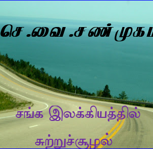 சங்க இலக்கியத்தில் சுற்றுச் சூழல்     –     செ.வை. சண்முகம்