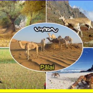 சங்க இலக்கியத்தில் சுற்றுச் சூழல் (தொடர்ச்சி) – செ.வை. சண்முகம்