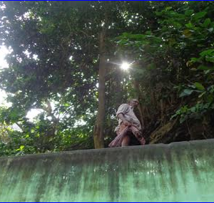 பெண்கள் குளிப்பதைப் பார்க்கும் கயவன், சுருளியாறு