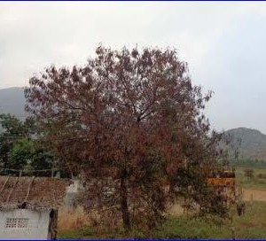 image-10053