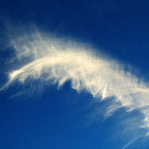 image-10701
