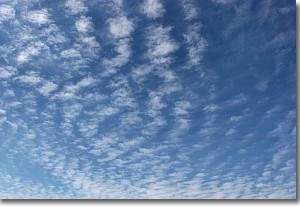 image-10692