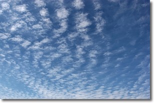 செல்-Cirrocumulus