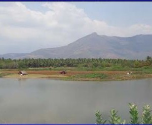 image-11221 பொதுப்பணித்துறைக் குளங்கள் ஆக்கிரமிப்பு