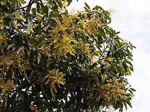 image-11497