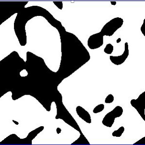 image-11388