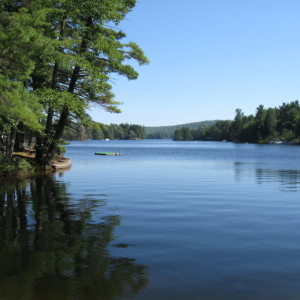 இடித்தெழும் கவிதைக் கீற்று! – சந்தர் சுப்பிரமணியன்