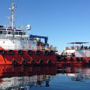 இராசபக்சவை வீழ்த்தியது எது? – திரைப்பட இயக்குநர் புகழேந்தி தங்கராசு