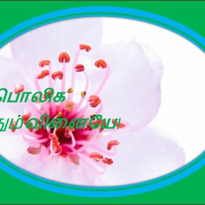 image-19431