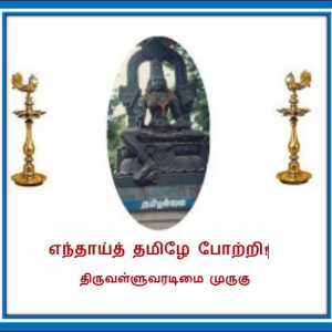 image-19327