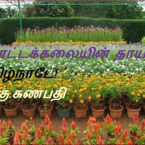 image-20440