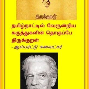 image-20238