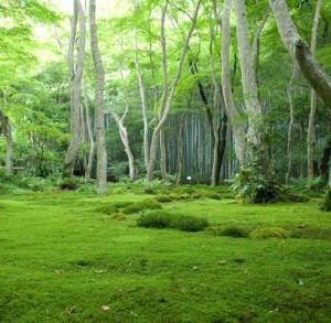 image-21460