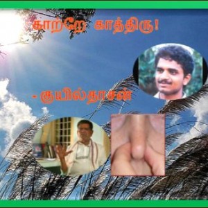 image-21673