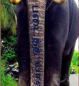 image-23052 மதி படைத்த யானை! – சச்சிதானந்தம் தெய்வசிகாமணி