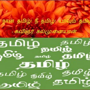 image-23783
