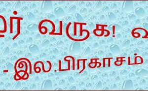 image-24336