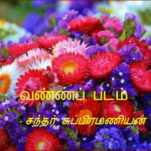 image-29073