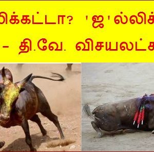 சல்லிக்கட்டா? ‘ஜ’ல்லிக்கட்டா?  – தி.வே. விசயலட்சுமி