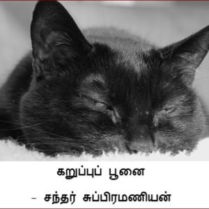 image-29268