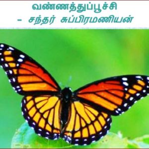 image-29435
