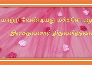 image-31379