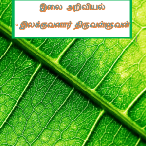 image-32687