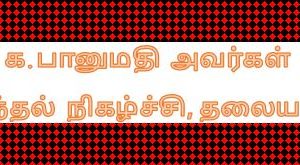 image-37024