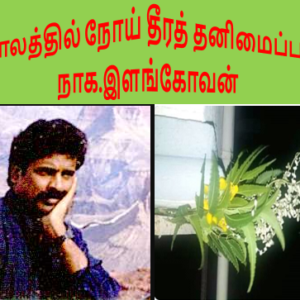 சங்கக் காலத்தில் நோய் தீரத் தனிமைப்படுத்தல் – நாக.இளங்கோவன்