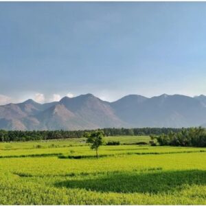 image-52768 பாசன அறிவியல் – அன்றே சொன்னார்கள்: இலக்குவனார் திருவள்ளுவன்