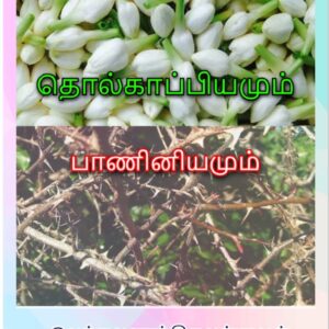 image-53964 தொல்காப்பியமும் பாணினியமும் – 5 : மிகவும் பழமை வாய்ந்தது தொல்காப்பியம்  – இலக்குவனார் திருவள்ளுவன்