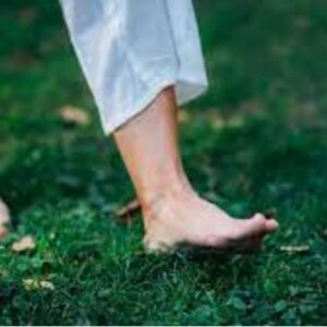 image-53762 கைகள் இரண்டு ஊருக்குதவ – இலக்குவனார் திருவள்ளுவன்