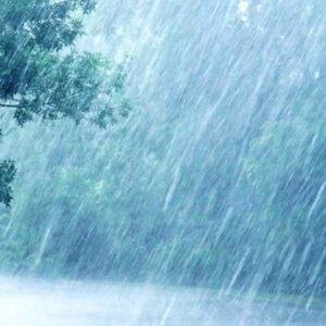 image-53759 மழை வீழட்டும்! – இலக்குவனார் திருவள்ளுவன்