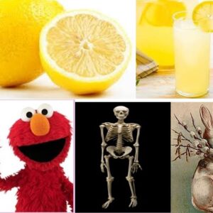 வெருளி நோய்கள் 509-513: இலக்குவனார் திருவள்ளுவன்