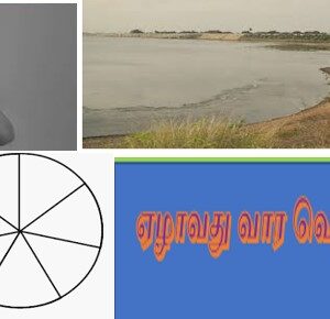வெருளி நோய்கள் 529-533: இலக்குவனார் திருவள்ளுவன்