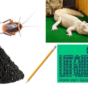 image-54356 வெருளி நோய்கள் 659-663: இலக்குவனார் திருவள்ளுவன்