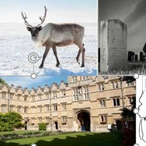 image-54378 வெருளி நோய்கள் 689-693: இலக்குவனார் திருவள்ளுவன்