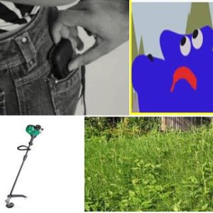 வெருளி நோய்கள் 709 -713 : இலக்குவனார் திருவள்ளுவன்