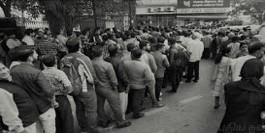 வெருளி நோய்கள் 741: இலக்குவனார் திருவள்ளுவன்