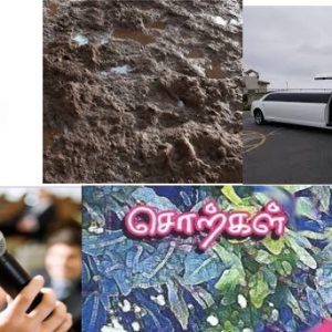 வெருளி நோய்கள் 1151-1155: இலக்குவனார் திருவள்ளுவன்