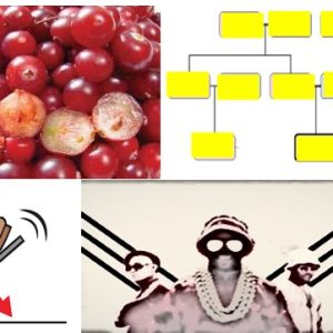 வெருளி நோய்கள் 1166-1170 : இலக்குவனார் திருவள்ளுவன்