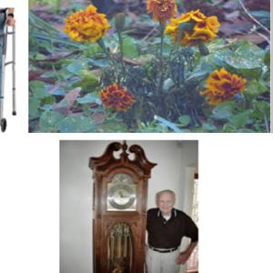 image-55414 வெருளி நோய்கள் 1221-1224 : இலக்குவனார் திருவள்ளுவன்