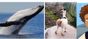 image-55484 வெருளி நோய்கள் 1261 -1265 : இலக்குவனார் திருவள்ளுவன்