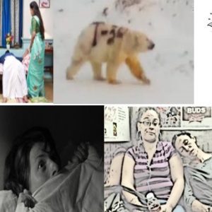 வெருளி நோய்கள் 1316 -1320 : இலக்குவனார் திருவள்ளுவன்