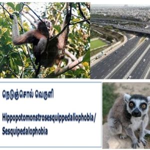 வெருளி நோய்கள் 1521-1525 : இலக்குவனார் திருவள்ளுவன்